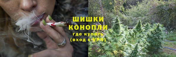 ГАЛЛЮЦИНОГЕННЫЕ ГРИБЫ Белоозёрский