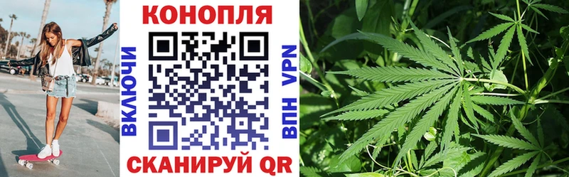 Бошки Шишки семена  что такое   Велиж 